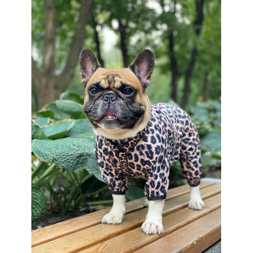 Дощовик-вітровка для собак WAUDOG Clothes Леопард