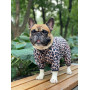Дощовик-вітровка для собак WAUDOG Clothes Леопард