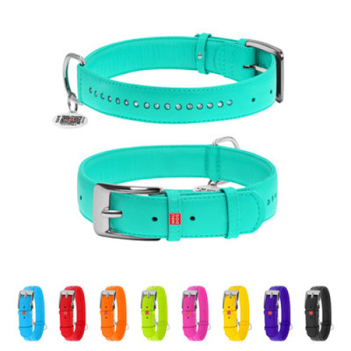 Ошейник для собак кожаный WAUDOG Glamour с QR паспортом, двойной со стразами, ментоловый