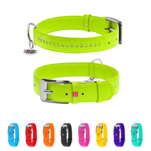 Ошейник для собак кожаный WAUDOG Glamour с QR паспортом, двойной со стразами, салатовый