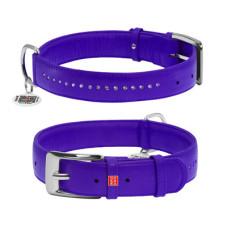 Ошейник для собак кожаный WAUDOG Glamour с QR паспортом, двойной со стразами, фиолетовый