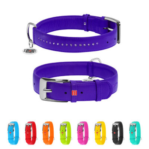 Ошейник для собак кожаный WAUDOG Glamour с QR паспортом, двойной со стразами, фиолетовый