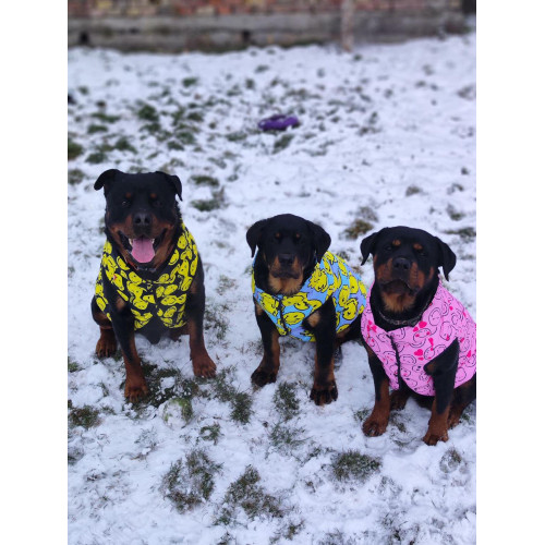 Курточка для собак WAUDOG Clothes рисунок «Смайлы на голубом»