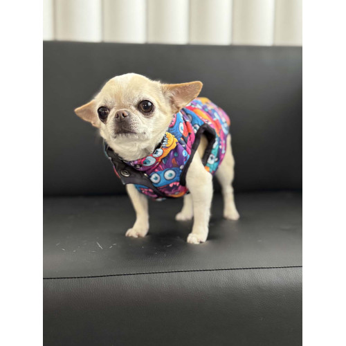 Куртка для собак WAUDOG Clothes, рисунок "Зубастые монстры"