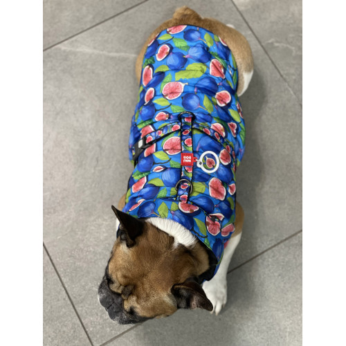 Куртка для собак WAUDOG Clothes, рисунок "Инжир"