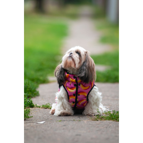 Куртка для собак WAUDOG Clothes, рисунок "Бананы на розовом"