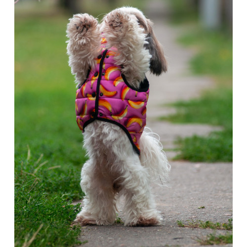 Куртка для собак WAUDOG Clothes, рисунок "Бананы на розовом"