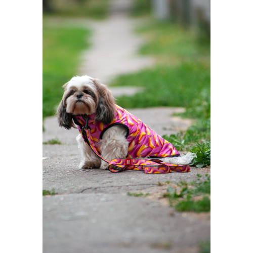 Куртка для собак WAUDOG Clothes, рисунок "Бананы на розовом"