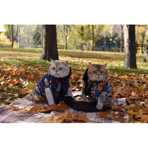 Куртка для собак WAUDOG Clothes, рисунок "Блоки Лего"