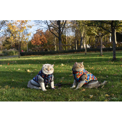 Куртка для собак WAUDOG Clothes, рисунок "Блоки Лего"