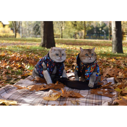 Куртка для собак WAUDOG Clothes, рисунок "Бесконечные миры"