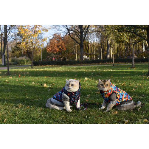 Куртка для собак WAUDOG Clothes, рисунок "Бесконечные миры"