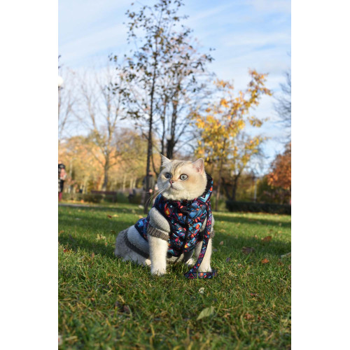 Куртка для собак WAUDOG Clothes, рисунок "Бесконечные миры"