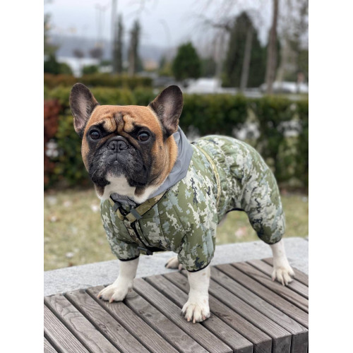 Комбінезон для собак WAUDOG Clothes Мілітарі камуфляжний зі світловідбивним капюшоном