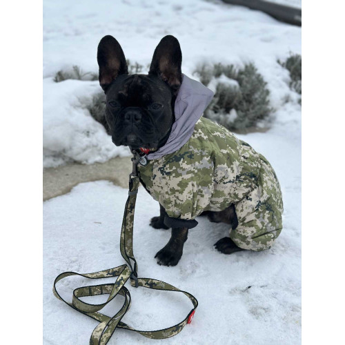 Комбінезон для собак WAUDOG Clothes Мілітарі камуфляжний зі світловідбивним капюшоном