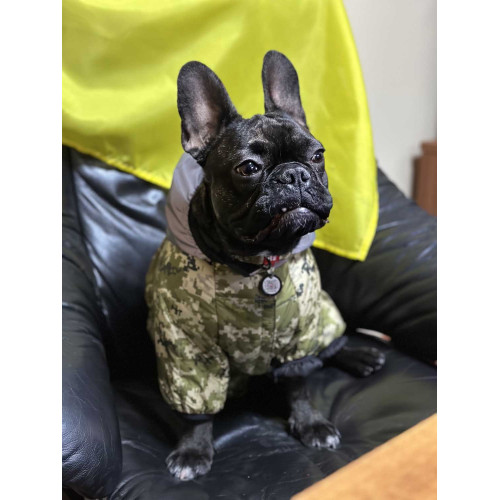 Комбінезон для собак WAUDOG Clothes Мілітарі камуфляжний зі світловідбивним капюшоном