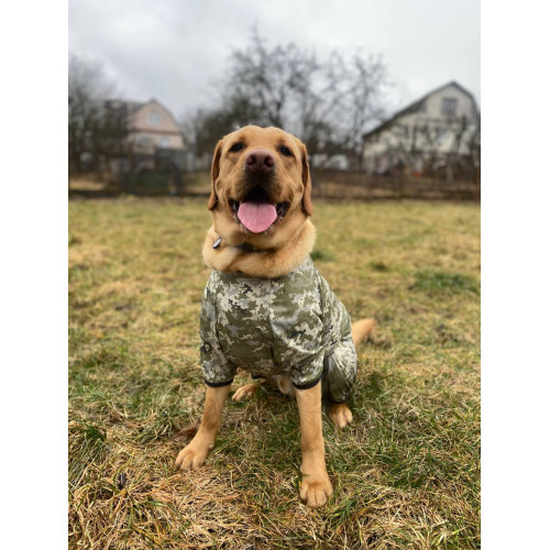 Комбінезон для собак WAUDOG Clothes Мілітарі камуфляжний зі світловідбивним капюшоном