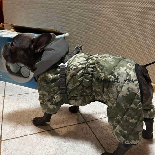 Комбінезон для собак WAUDOG Clothes Мілітарі камуфляжний зі світловідбивним капюшоном