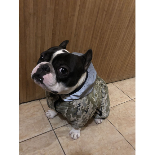 Комбінезон для собак WAUDOG Clothes Мілітарі камуфляжний зі світловідбивним капюшоном