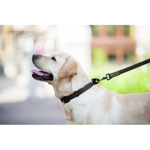 Ошейник для собак EVOLUTOR чёрного цвета, регулируемый универсальный размер 