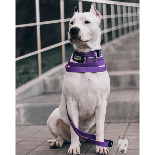 Нашийник для собак EVOLUTOR фіолетового кольору, регульований універсальний розмір