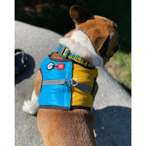 Нашийник для собак нейлоновий WAUDOG Nylon з QR-паспортом, малюнок "Сміливість", пластиковий фастекс