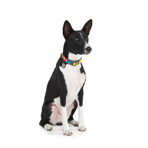 Нашийник для собак нейлоновий WAUDOG Nylon з QR-паспортом, малюнок "Рік и Морті 1", пластиковий фастекс