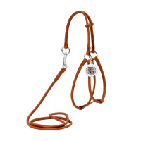 Круглая кожаная шлея с поводком и QR паспортом WAUDOG Soft для собак и кошек Коричневая