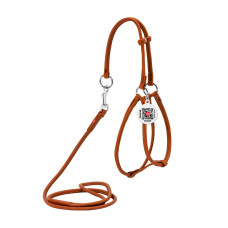 Кругла шкіряна шлея з повідцем та QR паспортом WAUDOG Soft для собак і котів Коричнева