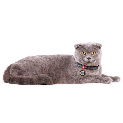 Ошейник для собак нейлоновый WAUDOG Nylon c QR-паспортом, рисунок "Инди", пластиковый фастекс