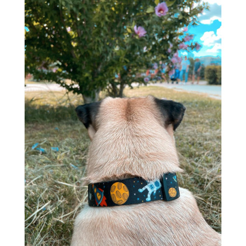 Нашийник для собак нейлоновий WAUDOG Nylon з QR-паспортом, малюнок "NASA", пластиковий фастекс