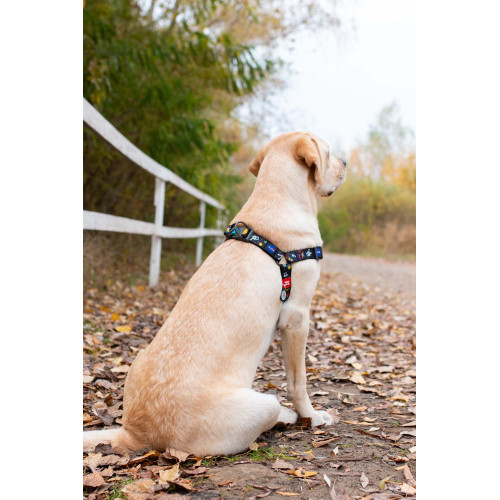 Шлейка для собак WAUDOG Nylon с QR паспортом «NASA», пластиковый фастекс