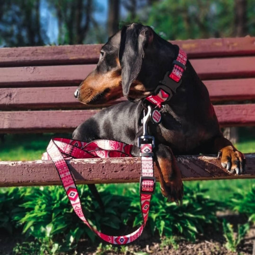 Ошейник для собак нейлоновый WAUDOG Nylon c QR паспортом, рисунок "Этно красный", металлический фастекс
