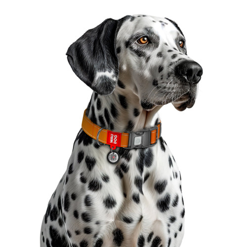 Ошейник для собак WAUDOG Nylon Mono оранжевого цвета, светоотражающий, с QR‑паспортом