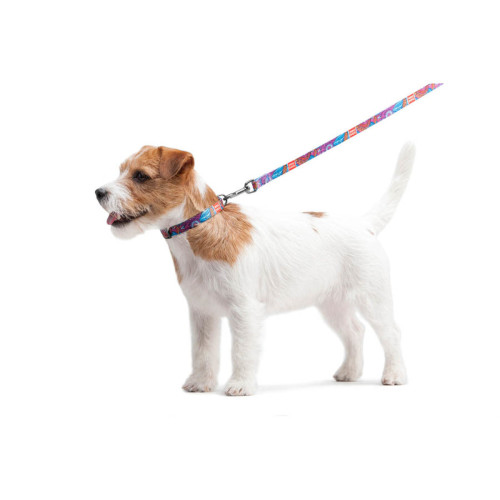 Повідець для собак нейлоновий WAUDOG Nylon, малюнок "Літо", довжина 122 см