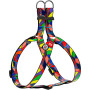 Шлея для собак WAUDOG Nylon рисунок "Витраж"