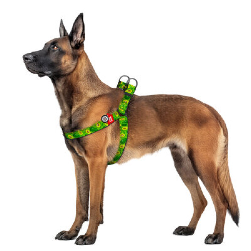 Шлея для собак WAUDOG Nylon рисунок "Авокадо"