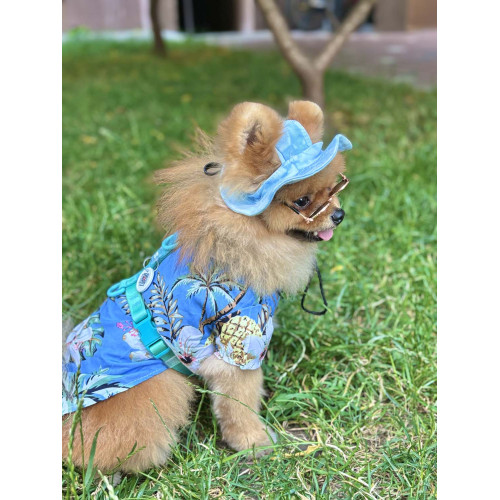 Шлея для собак анатомическая Н-образная WAUDOG Nylon Recycled "Градиент Голубой"