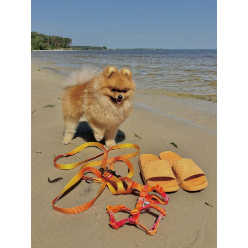 Шлея для собак анатомическая Н-образная WAUDOG Nylon Recycled "Градиент Оранжевый"