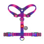 Шлея для собак анатомическая Н-образная WAUDOG Nylon Recycled "Градиент Фиолетовый"