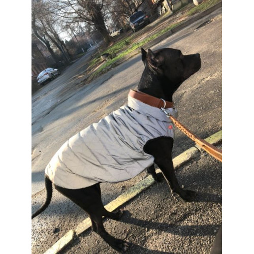 Куртка-жилет для собак WAUDOG Clothes Світловідбивна Сіра