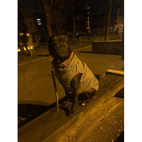 Куртка-жилет для собак WAUDOG Clothes Світловідбивна Сіра