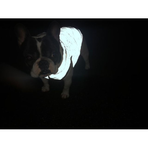 Куртка-жилет для собак WAUDOG Clothes Світловідбивна Сіра