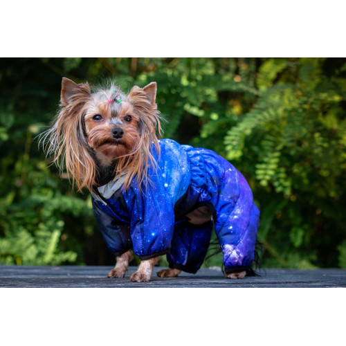 Комбінезон для собак WAUDOG Clothes з малюнком "NASA21"