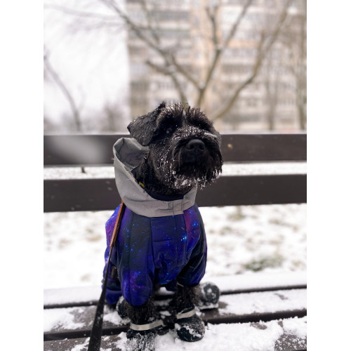 Комбінезон для собак WAUDOG Clothes з малюнком "NASA21"