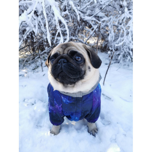 Комбінезон для собак WAUDOG Clothes з малюнком "NASA21"