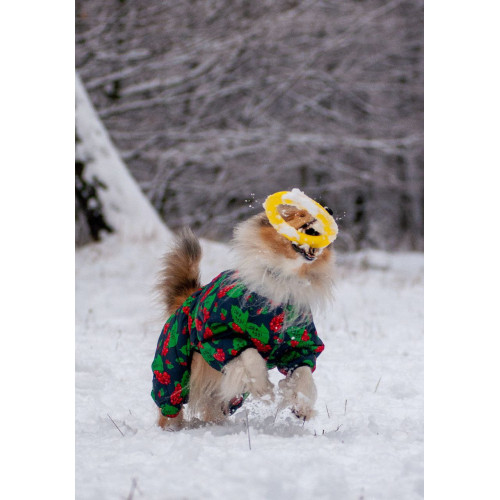 Комбинезон для собак WAUDOG Clothes с рисунком "Калина"