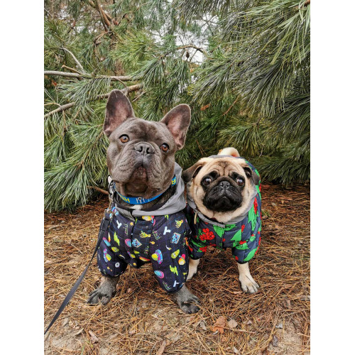 Комбинезон для собак WAUDOG Clothes с рисунком "Калина"