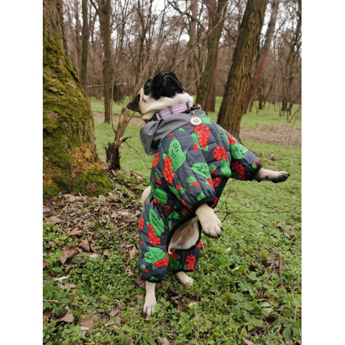 Комбинезон для собак WAUDOG Clothes с рисунком "Калина"