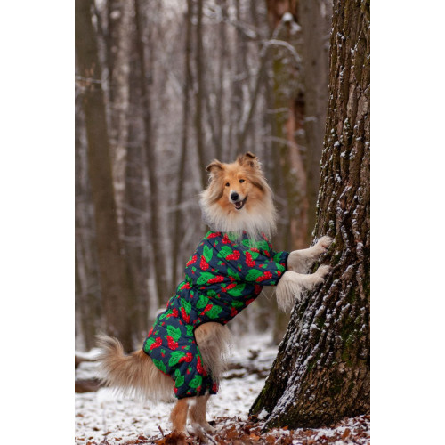 Комбинезон для собак WAUDOG Clothes с рисунком "Калина"